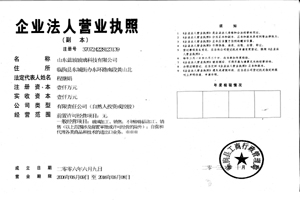 山東藍玻玻璃科技有限公司