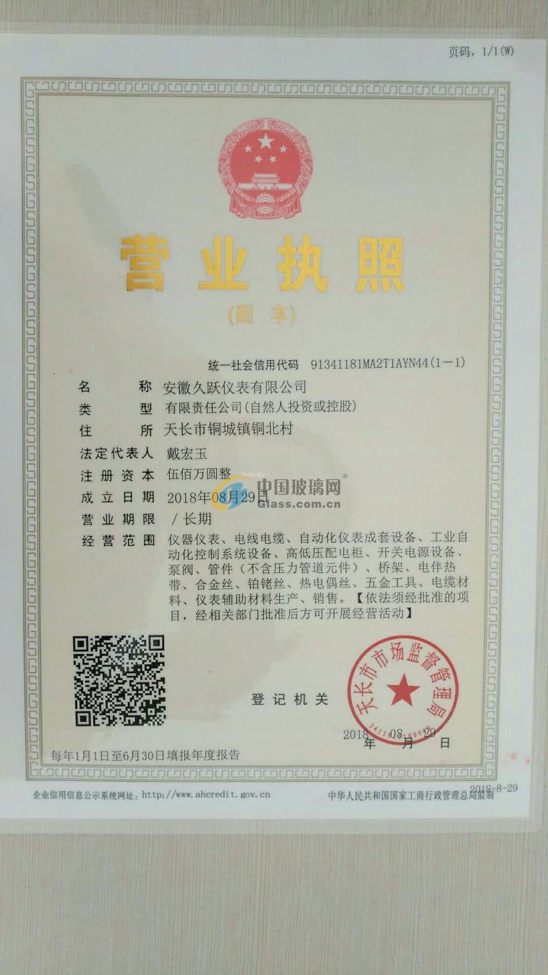 安徽久躍儀表有限公司
