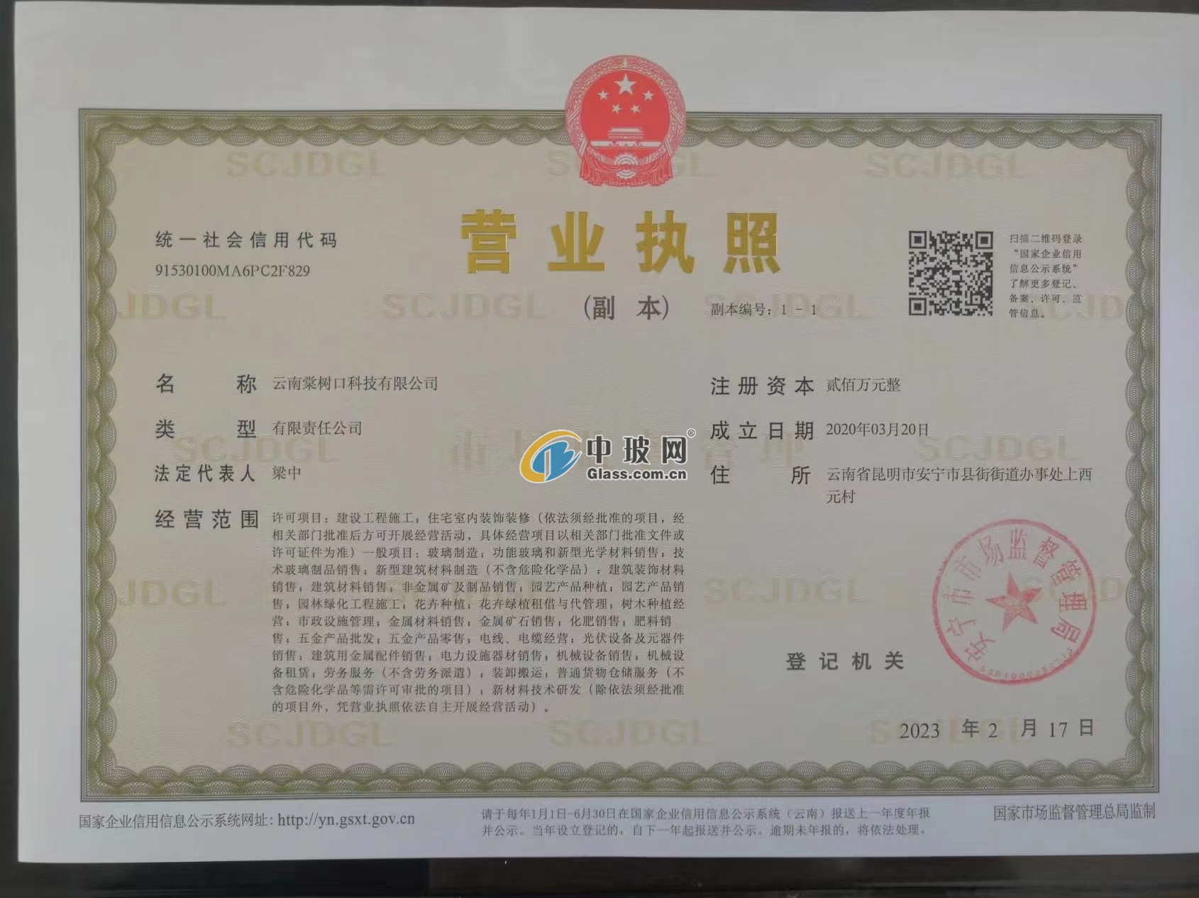 云南棠樹口科技有限公司