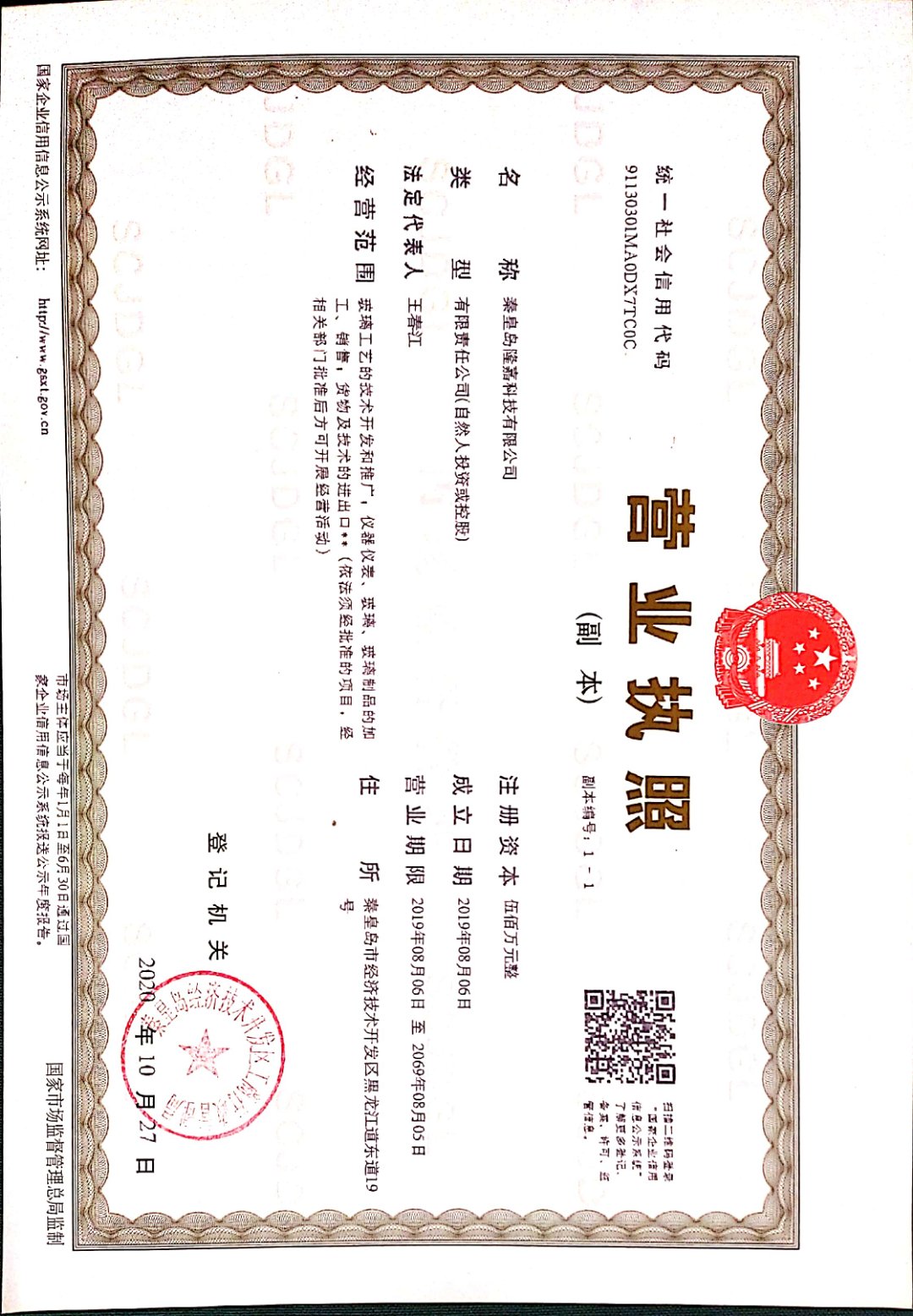 秦皇島隆嘉科技有限公司