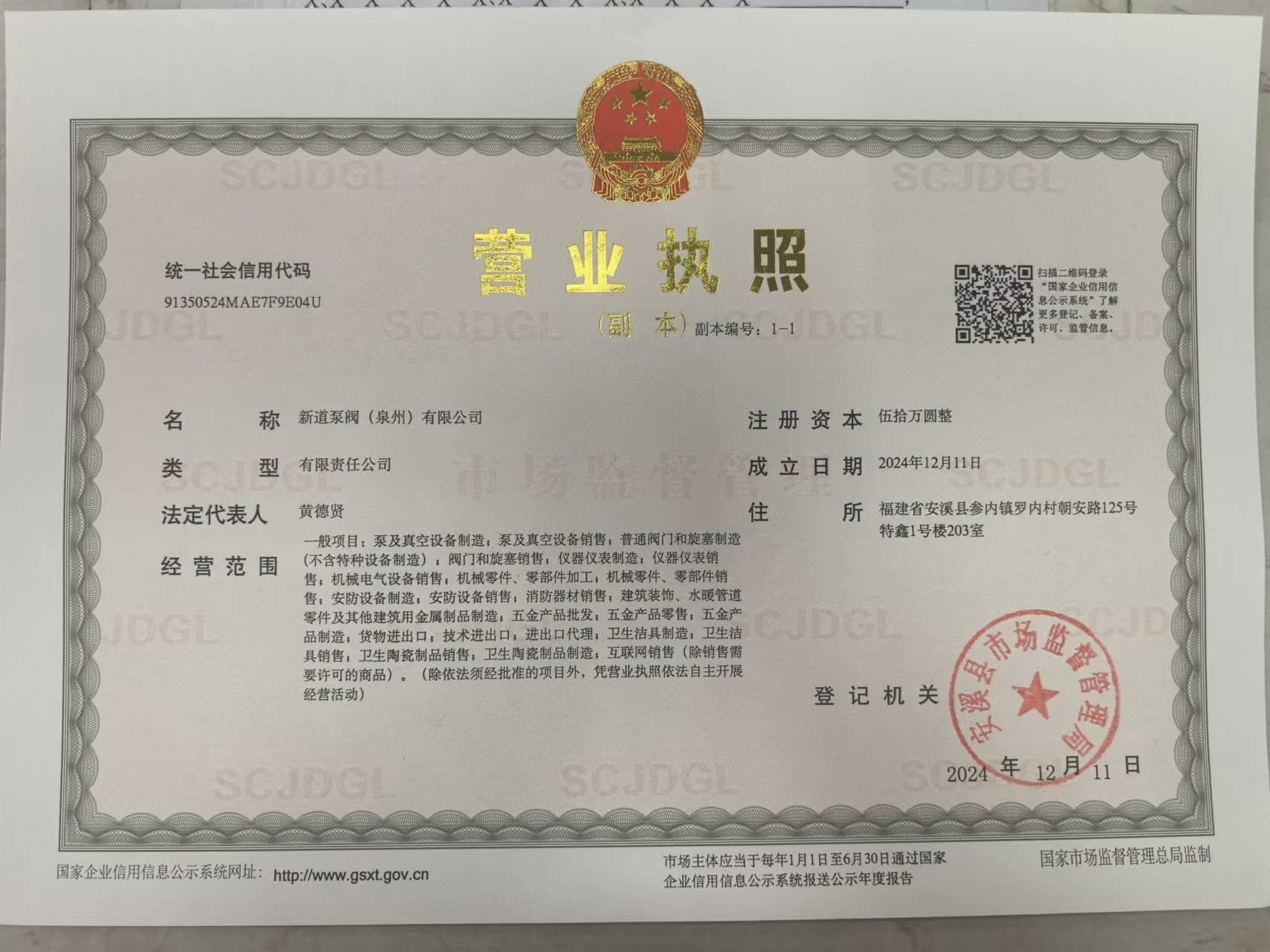 新道泵閥(泉州)有限公司