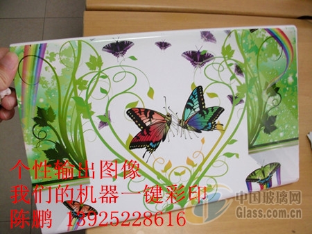 玻璃网图片
