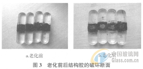 中玻網(wǎng)新聞圖片