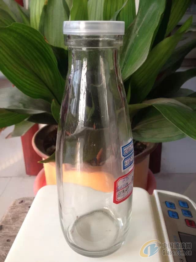 玻璃网图片