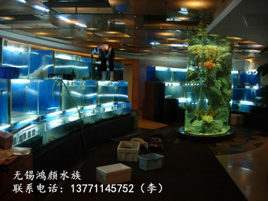 a2005-10-29_17_21_18_????.jpg