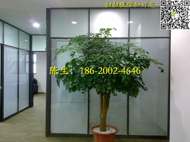 20110127120.jpg