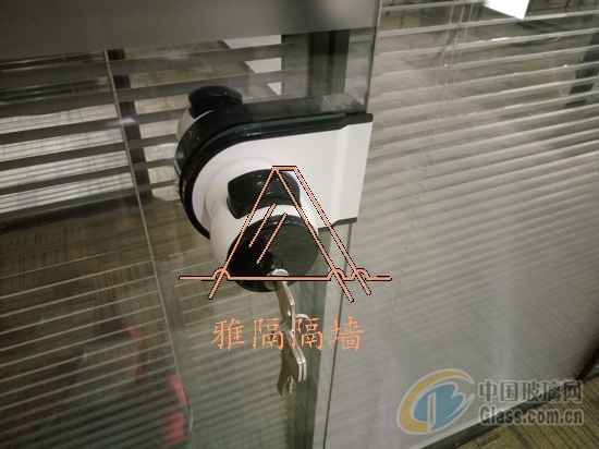 中玻網(wǎng)圖片