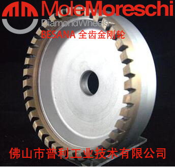 BESANA CUP WHEELS SEGMENTED 4.jpg