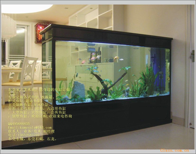 供应鱼缸,水族箱.东莞鱼缸订做