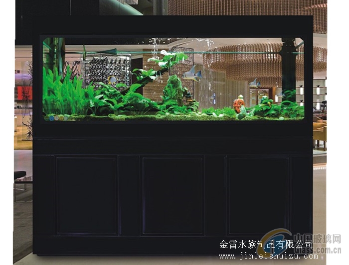 生态鱼缸