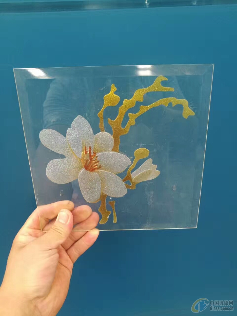 花卉门芯玻璃 彩印丝印玻璃门芯