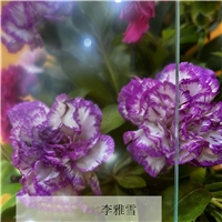 g늲͟C岣