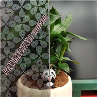 網(wǎng)紅極簡(jiǎn)門(mén)玻璃淋浴房隔斷玻璃