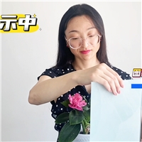 ؿɲп䓻ԲS