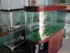 供应热弯玻璃鱼缸/玻璃鱼缸价格/优质热弯玻璃鱼缸