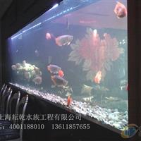 上海專業(yè)定做魚缸酒店海鮮缸制作