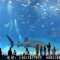 上海承接酒店海鮮缸及水族工程