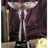 企业年终盛典大会颁发水晶奖杯