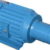 YG802-2電機(jī)