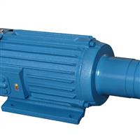 YG80系列電機