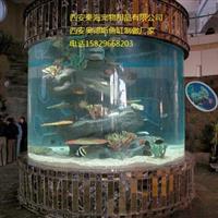 西安海洋水族鱼缸工程 大型玻璃鱼缸 水族箱鱼缸定制 厂家直销ADS
