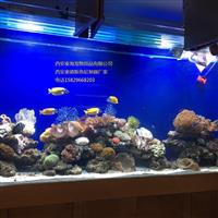 大型魚缸 大型水族箱、亞克力鯊魚魚缸、自然水族魚缸廠家直銷、