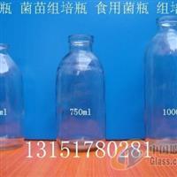 竹蓀菌種瓶750ml