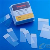 Thermo顯微鏡載玻片4951PLUS