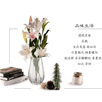 （寬豎棱）機(jī)制花瓶|山西大華玻璃實(shí)業(yè)有限公司