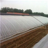 蔬菜育苗日光溫室 土墻薄膜大棚 保暖效果好
