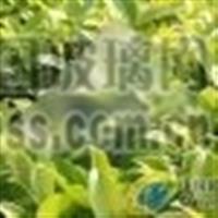3.2mm太陽能鋼化玻璃