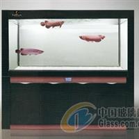成都水族箱價格——去哪買物美價