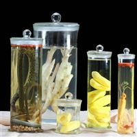 標(biāo)本瓶玻璃展示瓶樣本瓶泡酒瓶