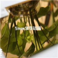 5mm金茶鋁鏡1830*2440